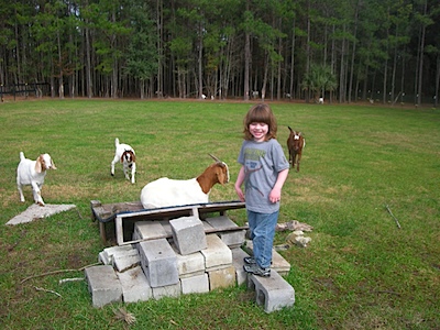 Breighton LOVED the goat pasture! :)